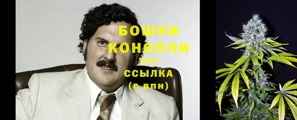 гашик Гвардейск