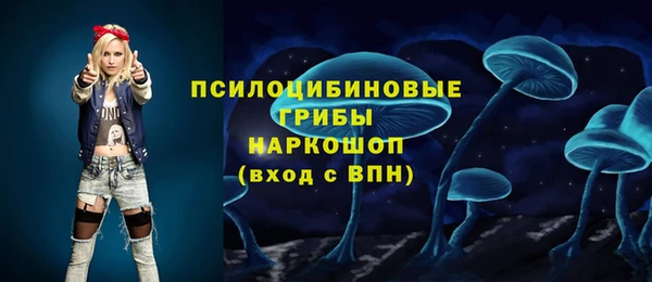 ПСИЛОЦИБИНОВЫЕ ГРИБЫ Алзамай