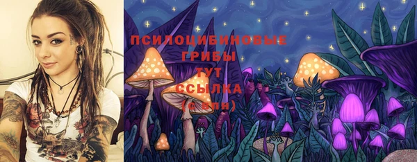 спиды Алексеевка