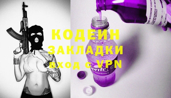 хмурый Алексин