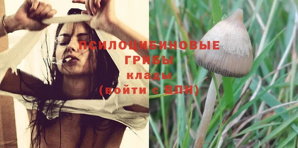 не бодяженный Абинск