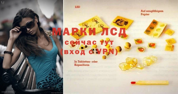 хмурый Алексин