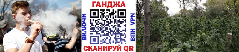 Канабис Amnesia  цена   Пугачёв 